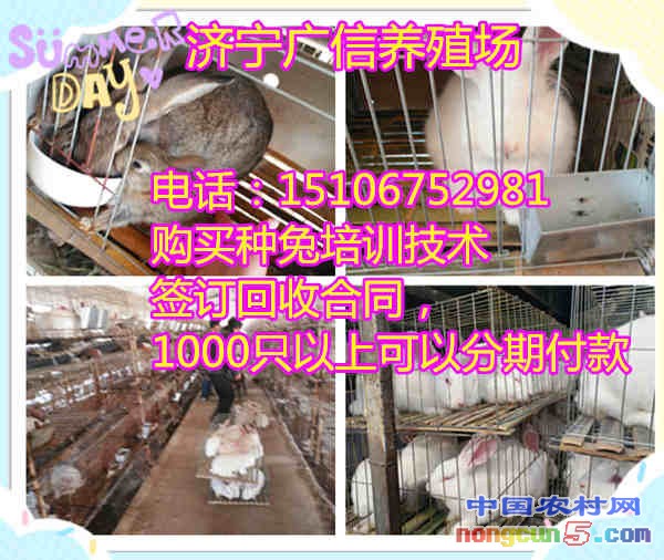initpintu_副本_副本