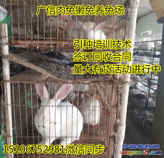 95_副本