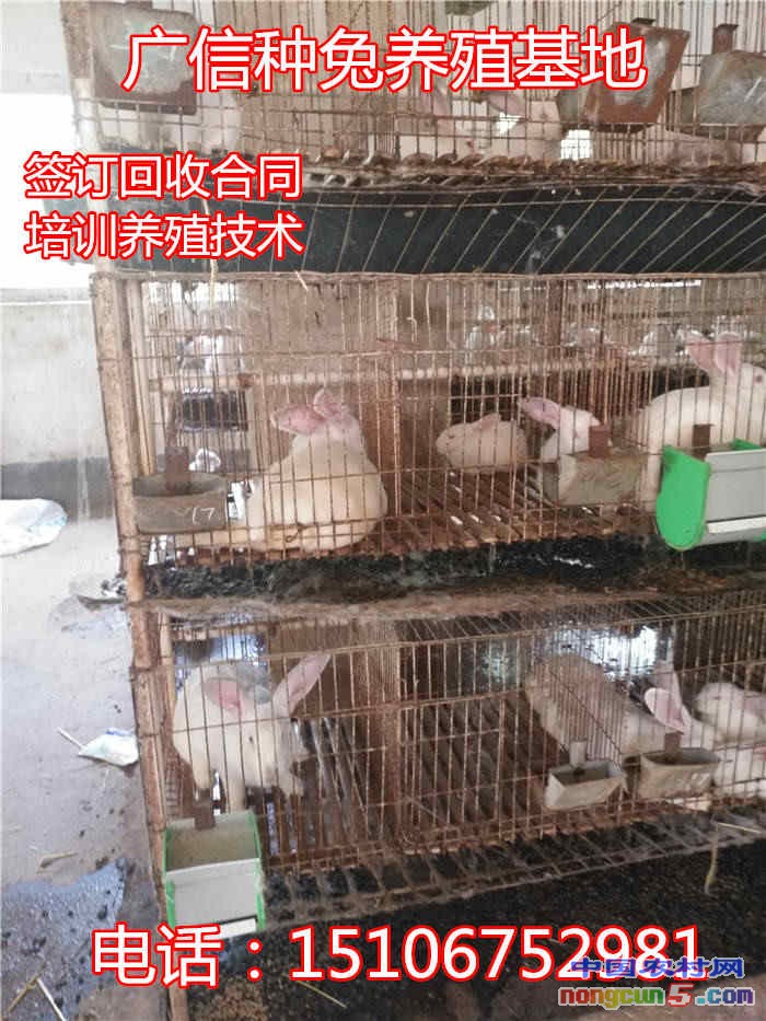 96_副本_副本