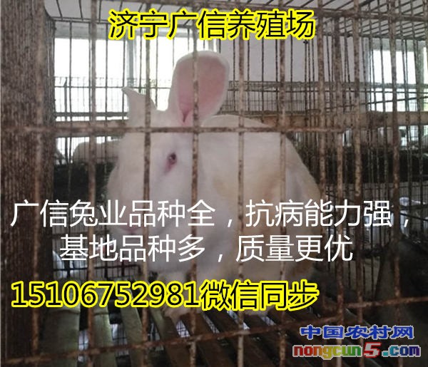 101_副本