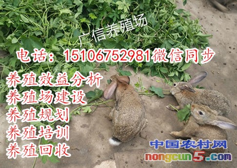 IMG_20170704_080354_mh1499127767610_副本