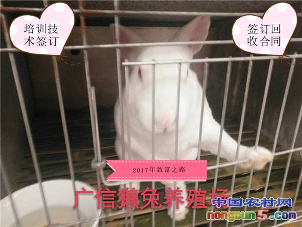 35_副本