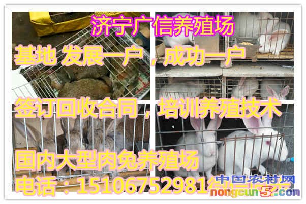1c8e3d57e9c61e53ab6e5d9307756b33_副本_副本