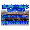 苗豬價(jià)格行情15-20公斤仔豬價(jià)格哪里小豬仔便宜