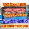 莒縣小豬仔價格行情外三元仔豬價格哪里小豬便宜