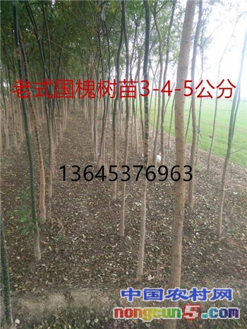 QQ圖片20161130083337_副本