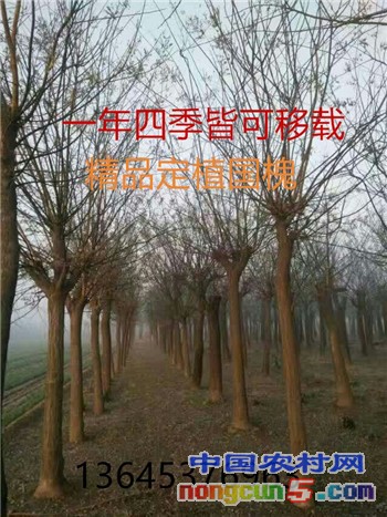 QQ圖片20161130083216_副本