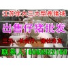云南苗豬價(jià)格