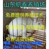 黑龍江通化獺兔養(yǎng)殖最新市場價格行情分析