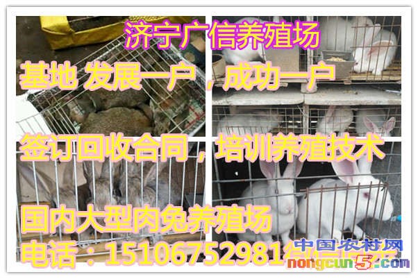 1c8e3d57e9c61e53ab6e5d9307756b33_副本_副本