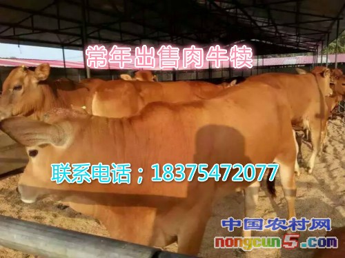 mmexport1443526266433_meitu_1