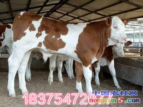 QQ圖片20160731101358_meitu_1