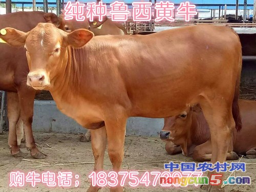 QQ圖片20160731101340_meitu_1