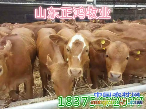 mmexport1456632597973_meitu_4_meitu_1