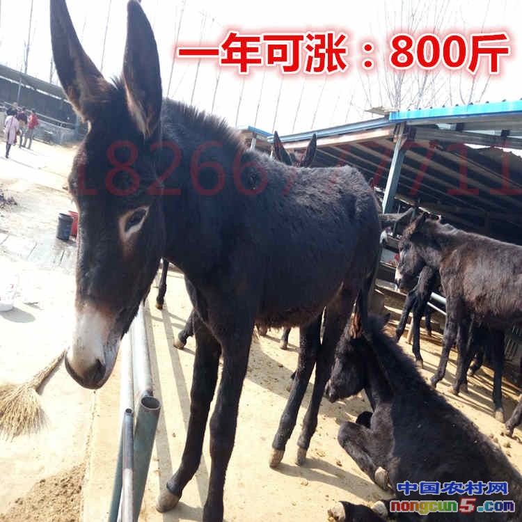 QQ圖片20160303175750_副本