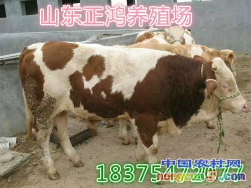 1444050954770_meitu_3_meitu_1