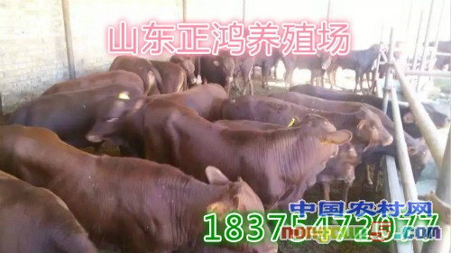 null6286cd979c889415_meitu_1_meitu_1