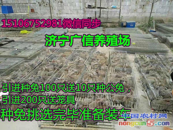 mmexport1472263420880_副本1