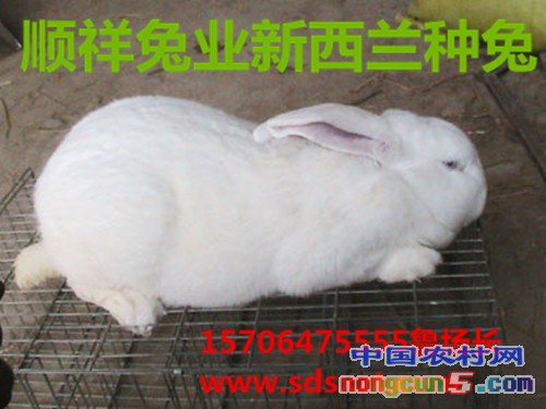 20131021144309650_副本