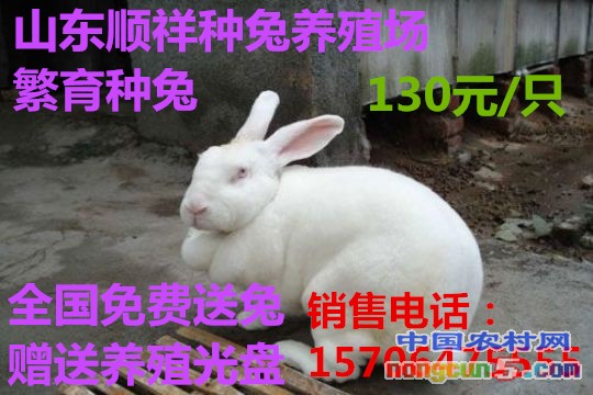 20160523185027611_副本