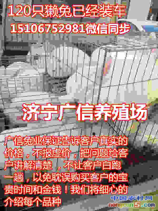68_副本