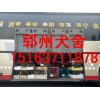 黑狼犬多少錢一只