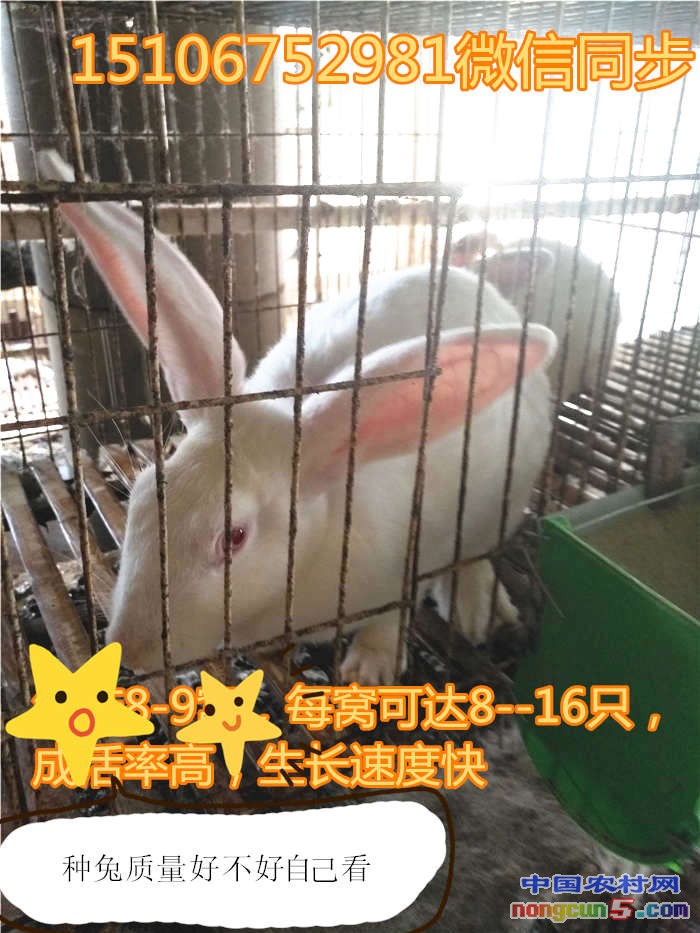 103_副本