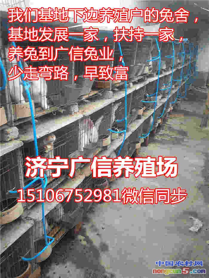 375_副本