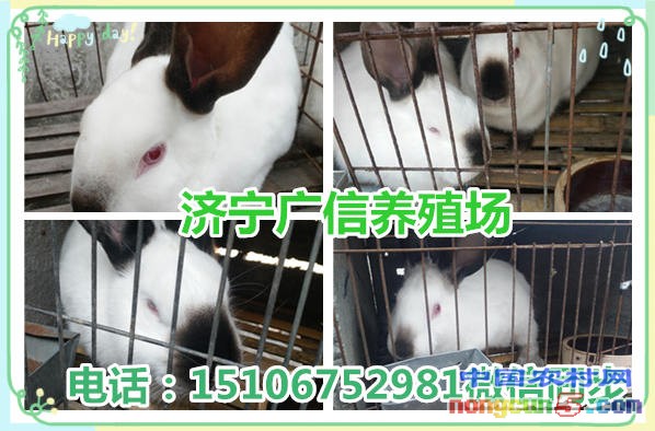 initpintu_副本3
