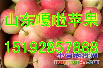 嘎啦2字