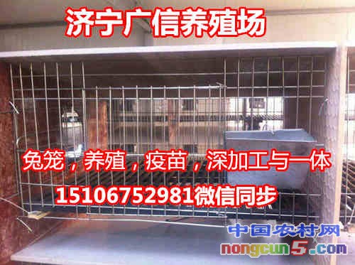 兔籠3_副本