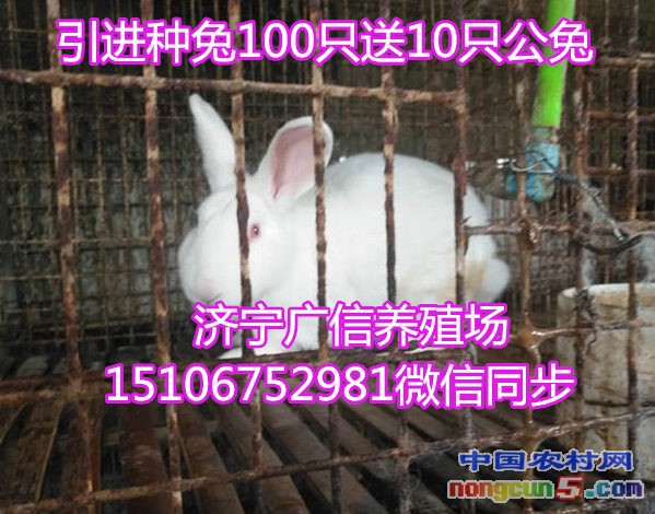 109_副本