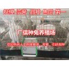 山西忻州肉兔養(yǎng)殖300只種兔一年的利潤計算
