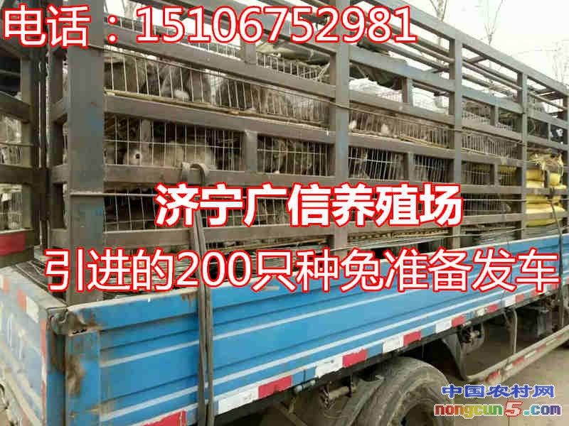 1462858554081_副本
