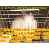 伊拉兔兔苗30元一只，種兔100元一只
