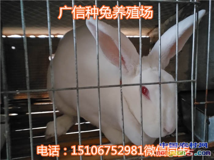 183_副本
