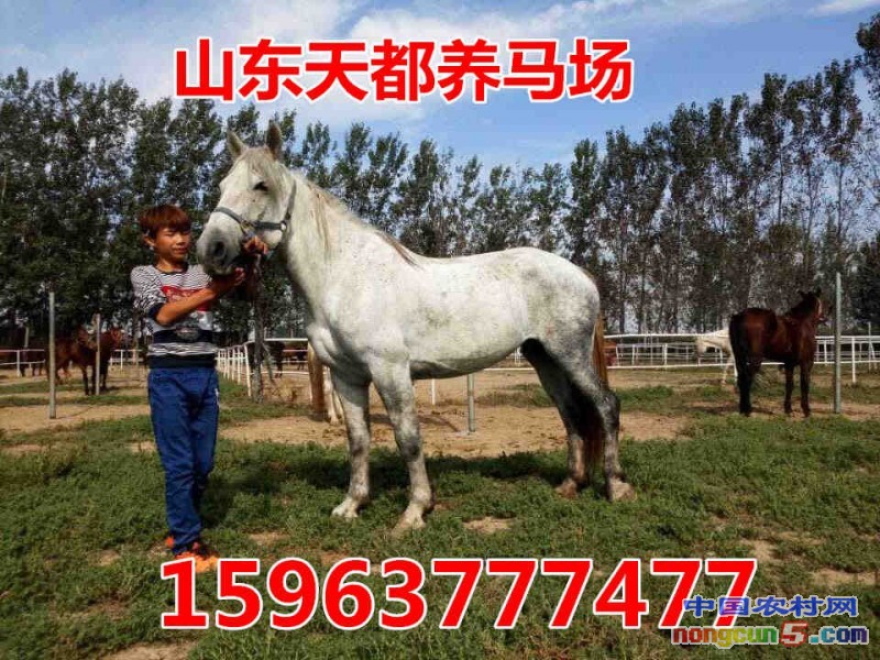 5CF8A7B025AC051DB40D3F40A49FC81D_副本