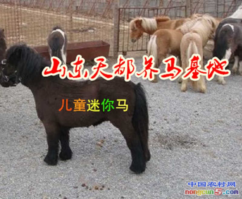 3_副本