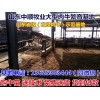 遵義小肉牛價格表