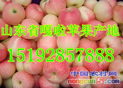 嘎啦1字