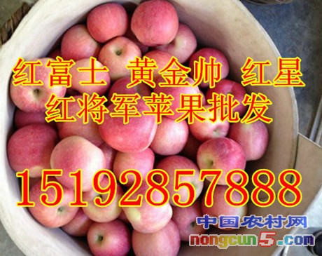 蘋果2字