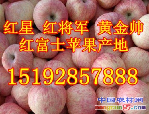 蘋果1