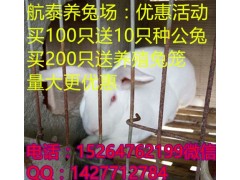 江西最大養(yǎng)兔基地在哪