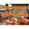 求購(gòu)小豬仔長(zhǎng)白母豬價(jià)格哪里小豬便宜