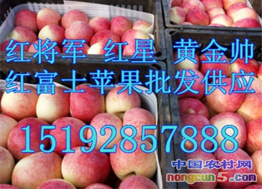 蘋果4