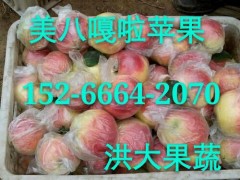 山東紅嘎啦蘋果批發(fā)價(jià)格，黃嘎啦蘋果批發(fā)報(bào)價(jià)