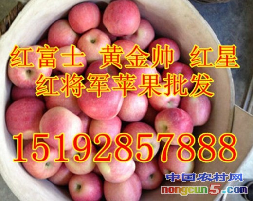 蘋果2
