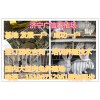 山東有規(guī)模的養(yǎng)兔場是廣信兔業(yè)嗎
