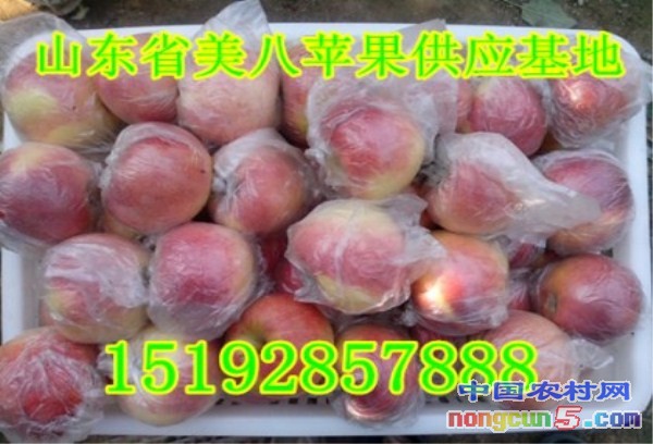 美八2