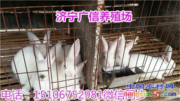 廣信73_副本